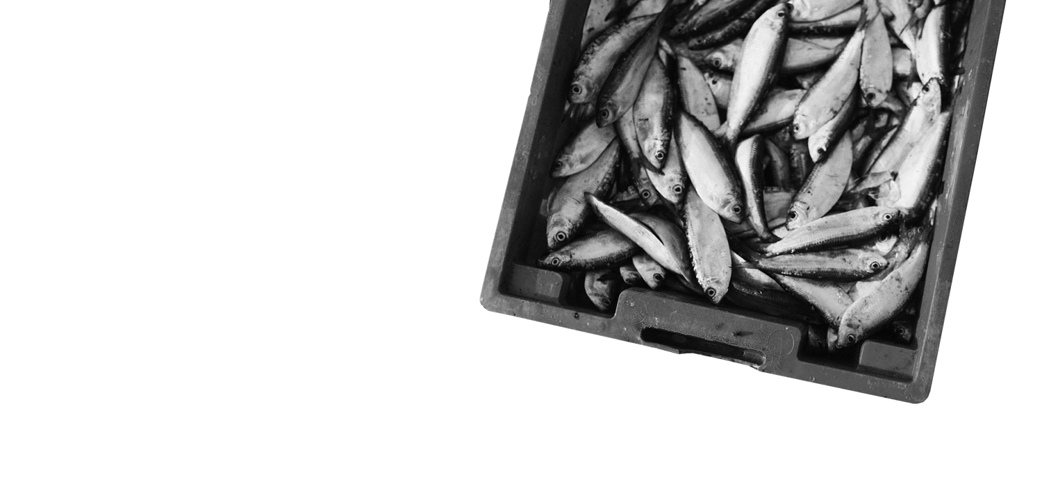 Fisheries