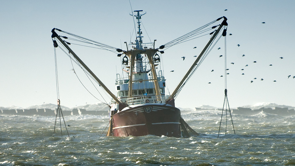 fisheries